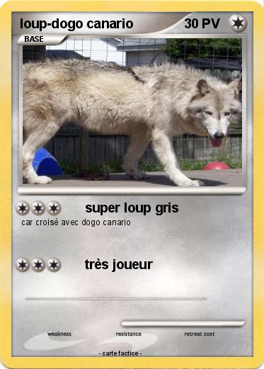 Pokemon loup-dogo canario