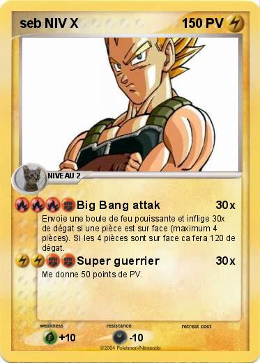 Pokemon seb NIV X