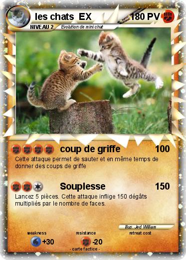 Pokemon les chats  EX