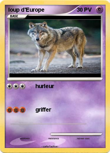 Pokemon loup d'Europe