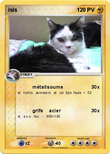 Pokemon isis