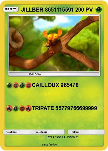 Pokemon JILLBER 8651115591