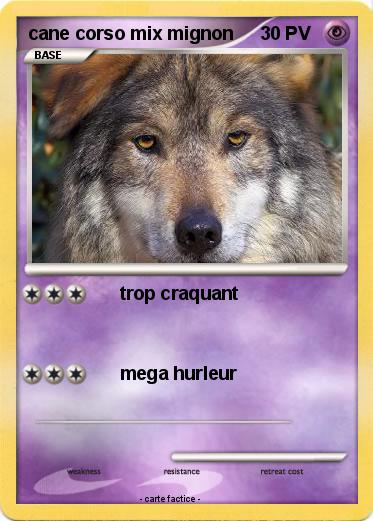 Pokemon cane corso mix mignon