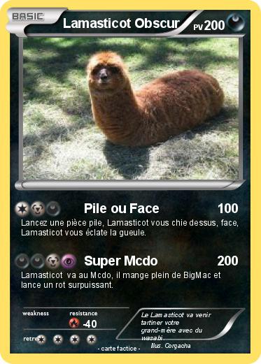 Pokemon Lamasticot Obscur
