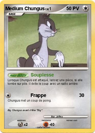 Pokemon Medium Chungus