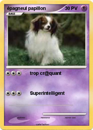 Pokemon épagneul papillon