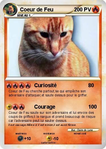 Pokemon Coeur de Feu