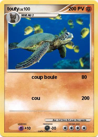 Pokemon touty