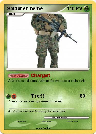 Pokemon Soldat en herbe