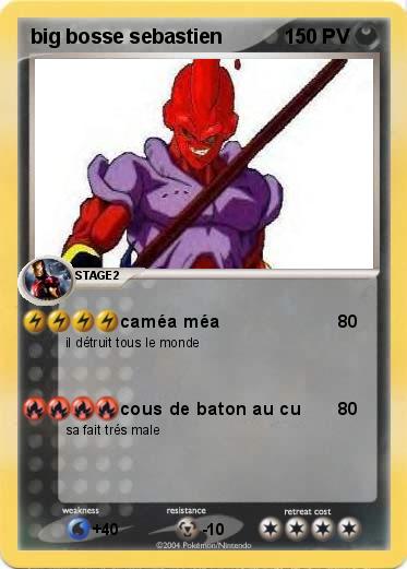 Pokemon big bosse sebastien