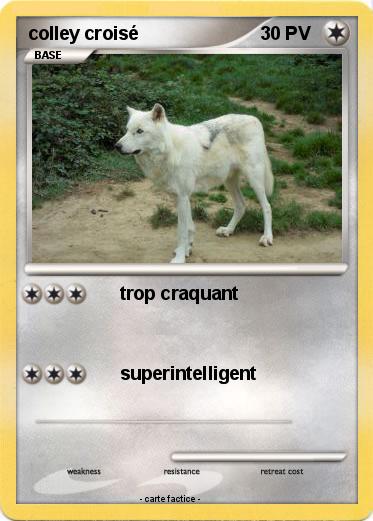 Pokemon colley croisé