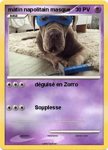 Pokemon mâtin napolitain masque