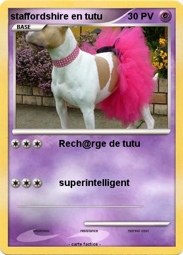 Pokemon staffordshire en tutu