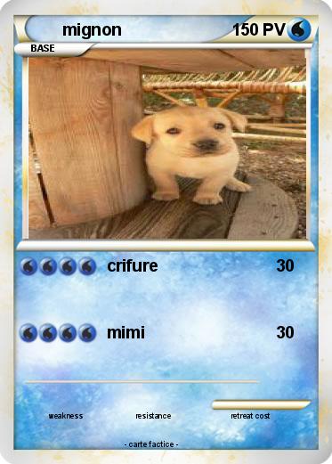 Pokemon mignon