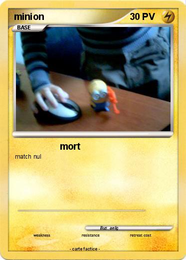 Pokemon minion