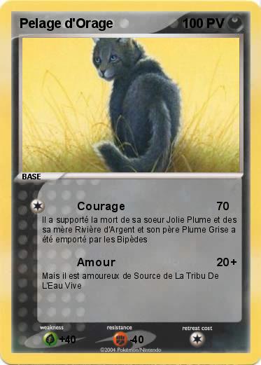 Pokemon Pelage d'Orage