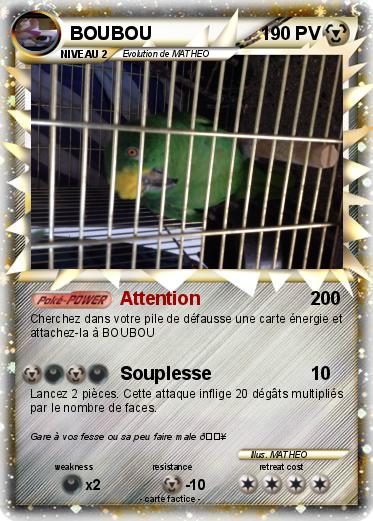 Pokemon BOUBOU
