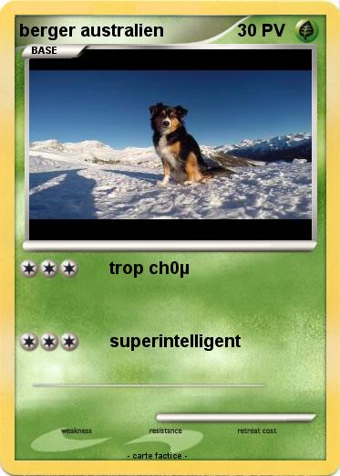 Pokemon berger australien