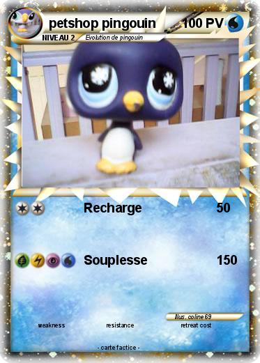 Pokemon petshop pingouin