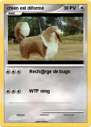 Pokemon chien est diformé