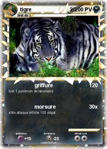 Pokemon tigre                          20