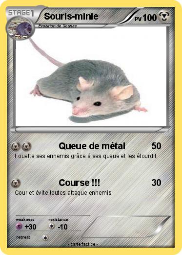 Pokemon Souris-minie