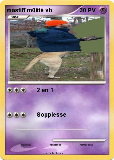 Pokemon mastiff m0itié vb