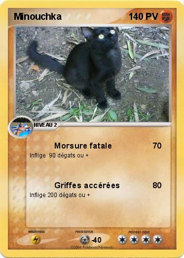 Pokemon Minouchka