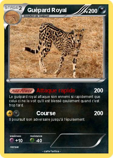 Pokemon Guépard Royal