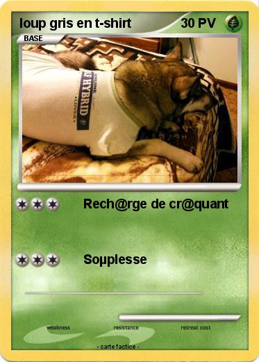 Pokemon loup gris en t-shirt