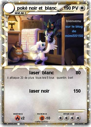 Pokemon poké noir et  blanc
