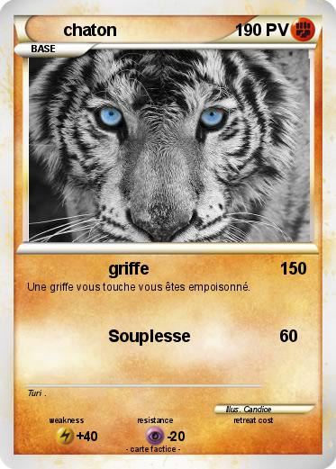 Pokemon chaton