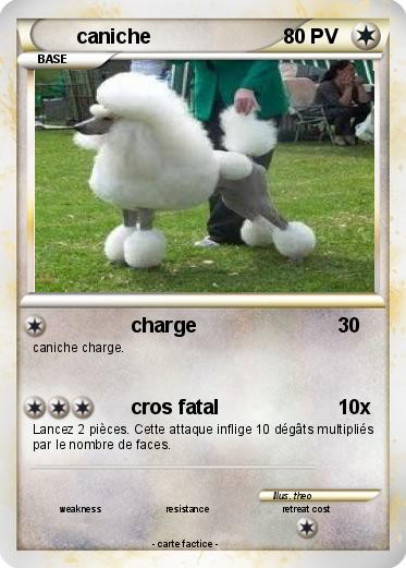 Pokemon caniche