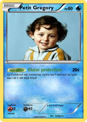 Pokemon Petit Gregory