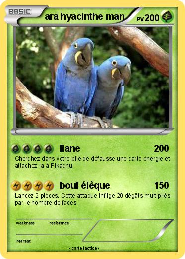 Pokemon ara hyacinthe man
