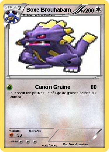 Pokemon Boxe Brouhabam