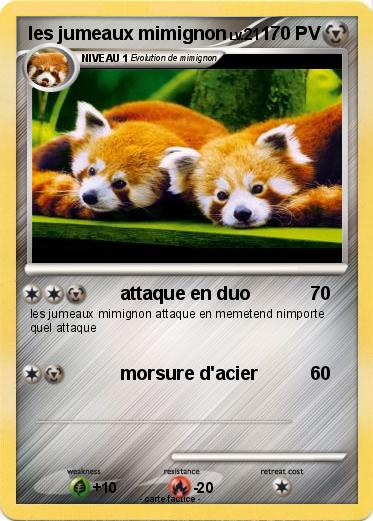 Pokemon les jumeaux mimignon