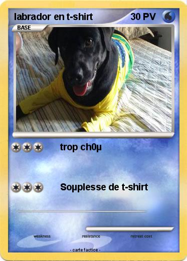 Pokemon labrador en t-shirt