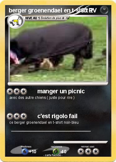 Pokemon berger groenendael en t-shirt 2