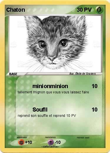 Pokemon Chaton
