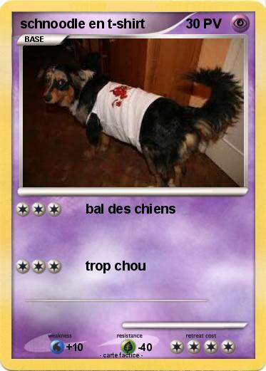 Pokemon schnoodle en t-shirt