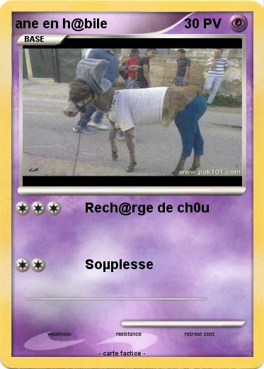 Pokemon ane en h@bile