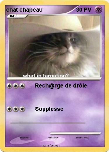 Pokemon chat chapeau