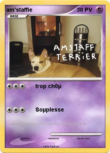 Pokemon am'staffie
