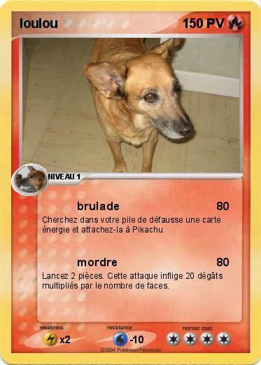 Pokemon loulou