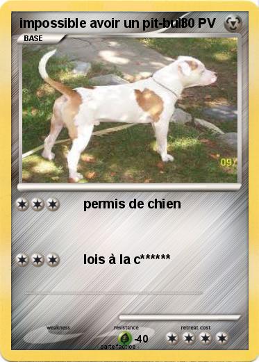 Pokemon impossible avoir un pit-bull