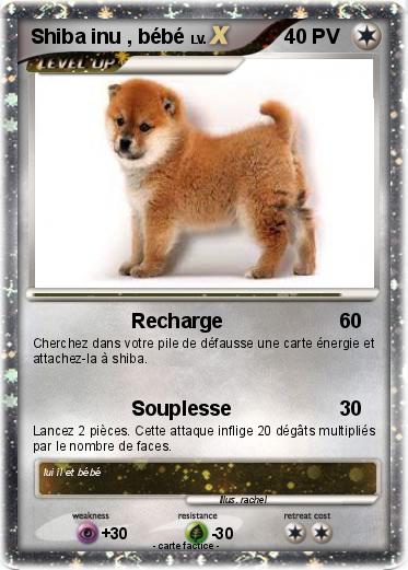 Pokemon Shiba inu , bébé