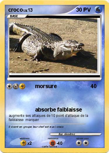 Pokemon croco