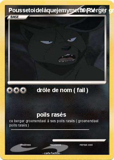 Pokemon Poussetoidelàquejemymette ( berger groenendael )