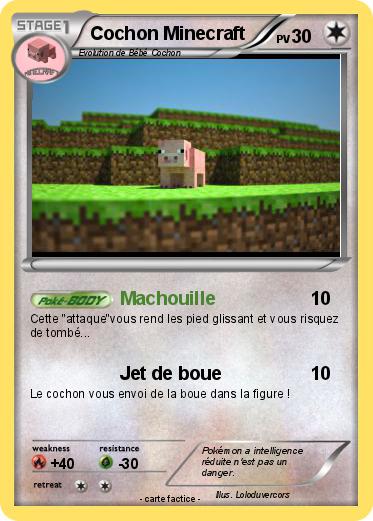 Pokemon Cochon Minecraft